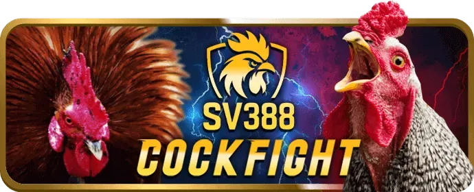 Ưu đãi và khuyến mãi Tim88